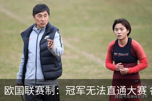 欧国联赛制：冠军无法直通大赛 各联赛存升降级